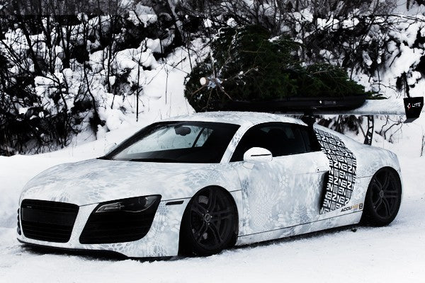 Envision Audi R8